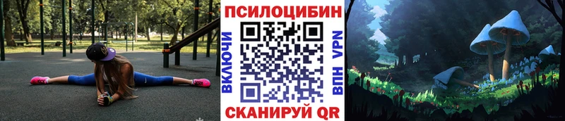 Псилоцибиновые грибы Psilocybine cubensis  MEGA ссылка  Владикавказ 